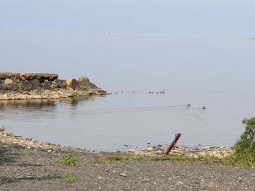 Фото номера Семейный номер с видом на море Лоджи Kotaranta г. Arkkukari 12